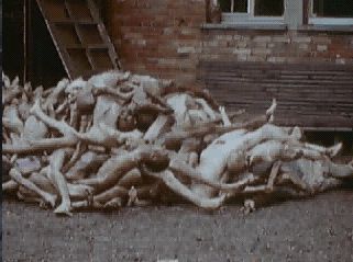 holocausto-dachau holocausto-dachau