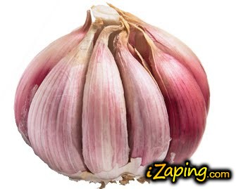 ajo ajo