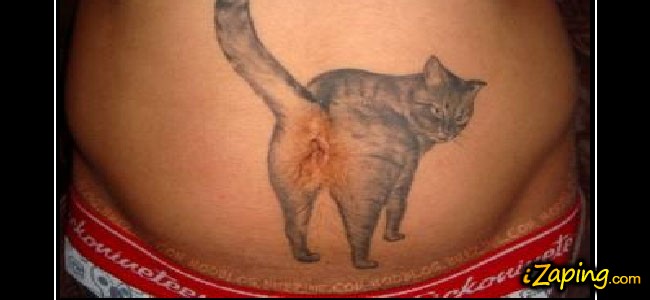 gato-culo-caca gato-culo-caca