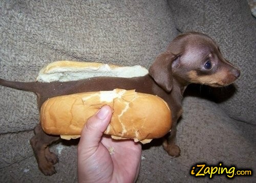 perrito caliente