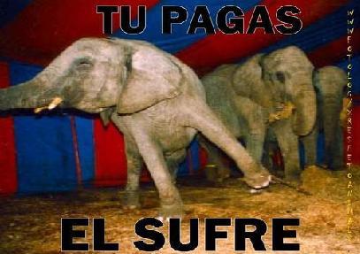 animales_en_el_circo