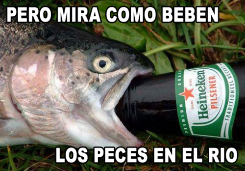 tumblr_lw1tn1bOiR1qcxcruo1_500