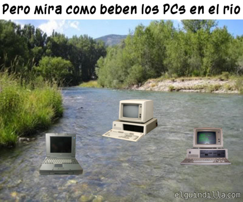 tumblr_lwjzykVkTB1qbogk6o1_500