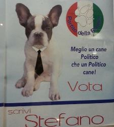 perro-sicilia