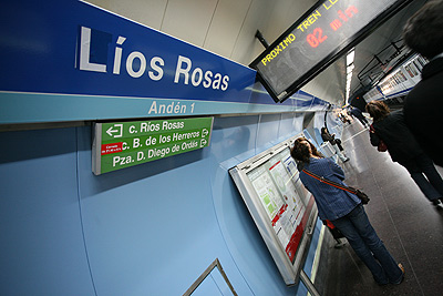 lios rosas