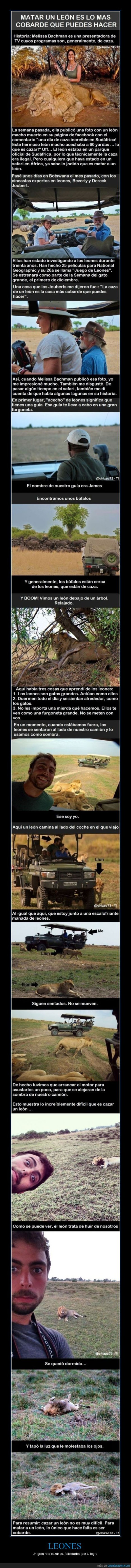 cr_873535_leones