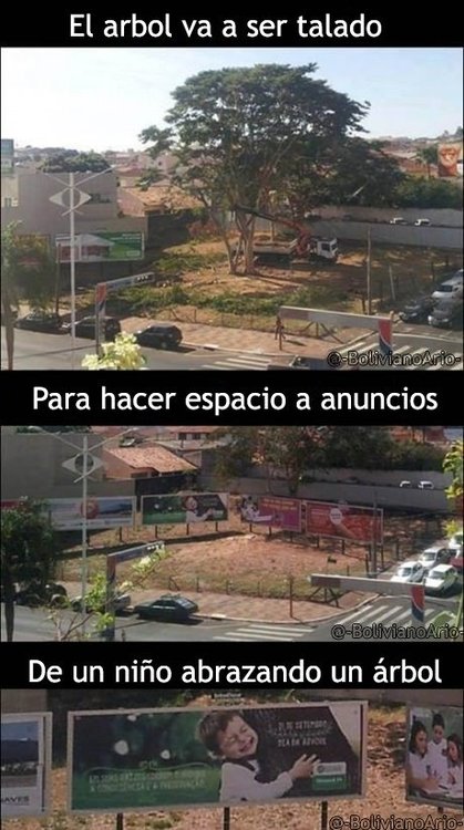 tumblr_ncx7b9LS941rk95rlo1_500